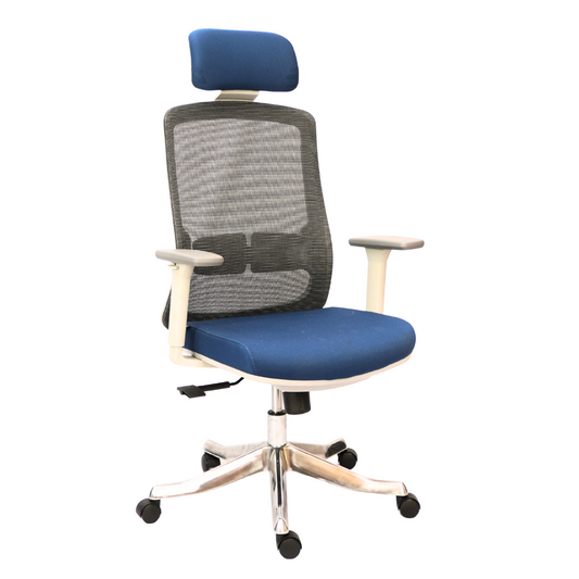 Premium  Executive Chair with Aluminium Octopus Leg(FT-H188A-1)