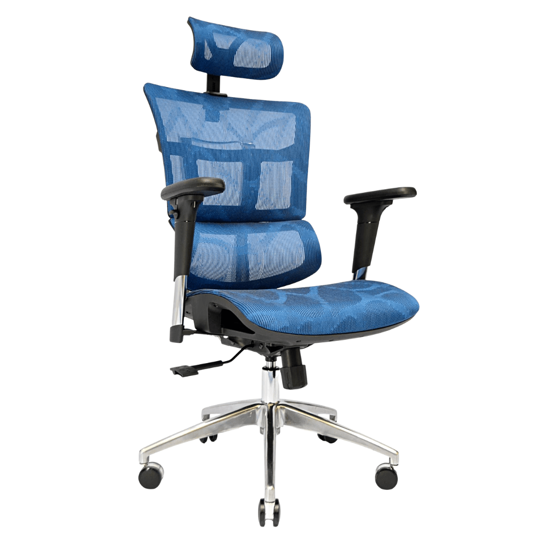 Complete Multifunction Chair (FT-HC03) Blueberry Blue